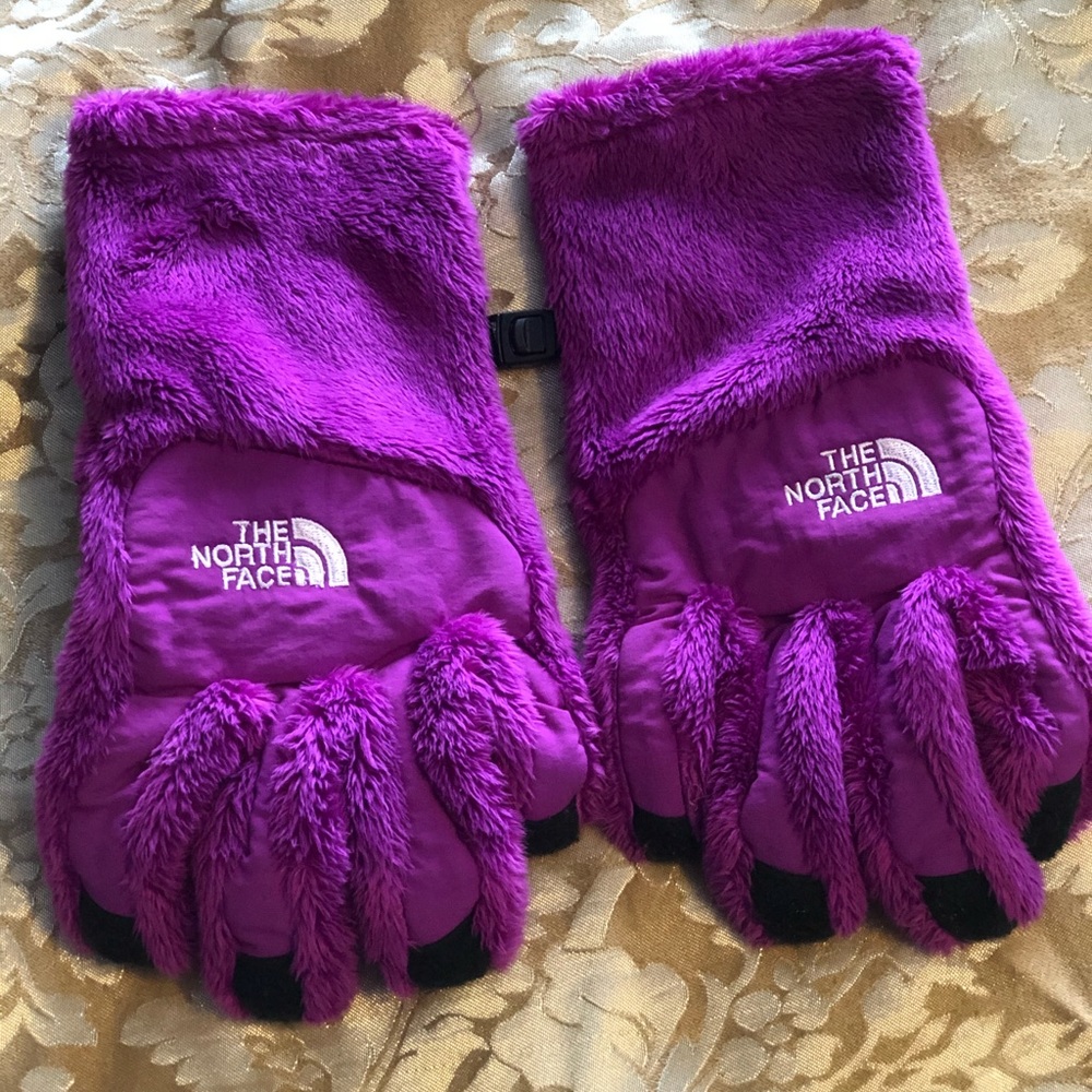 North Face Purple & Black Gloves